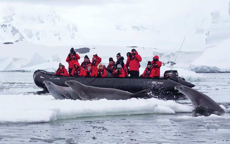Экспедиционный круиз к Антарктическому полуострову на мега-яхте класса «люкс»  Le Boreal