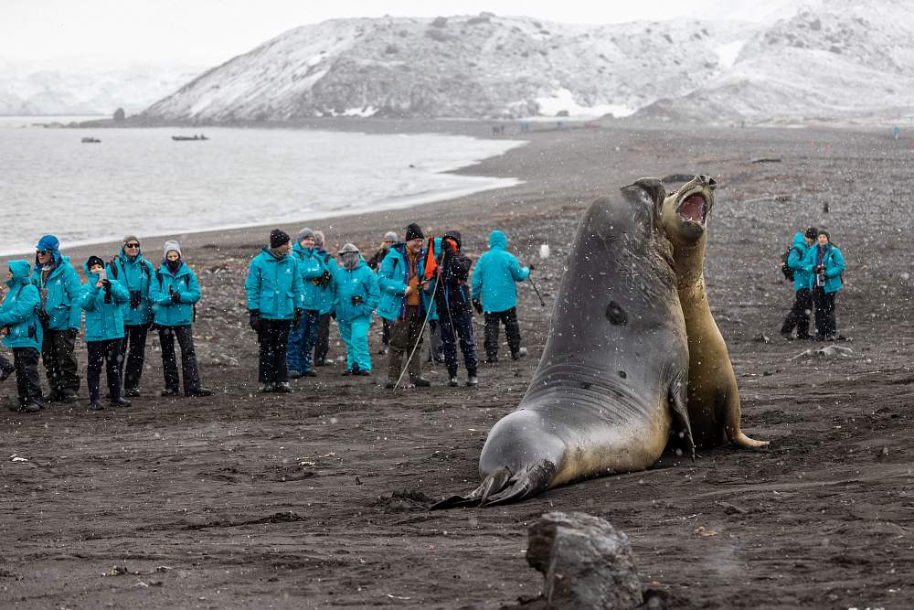 Экспедиционный круиз к Антарктическому полуострову «Ледяные горизонты» на мега-яхте SH Vega