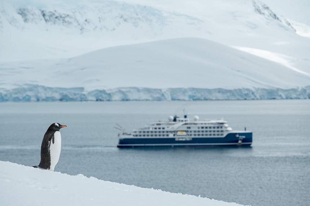 Экспедиционный круиз к Антарктическому полуострову «Ледяные горизонты» на мега-яхте SH Vega